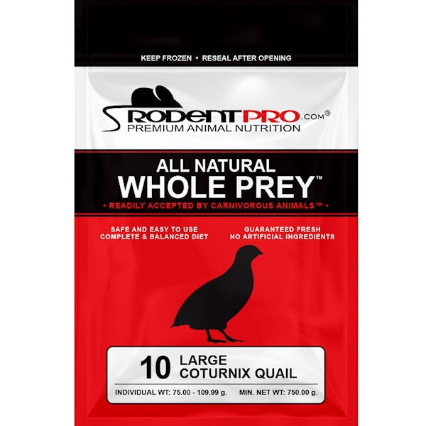 Image showcasing Frozen Quails for Sale | Order Large Feeder Quail for Snakes, Birds ...